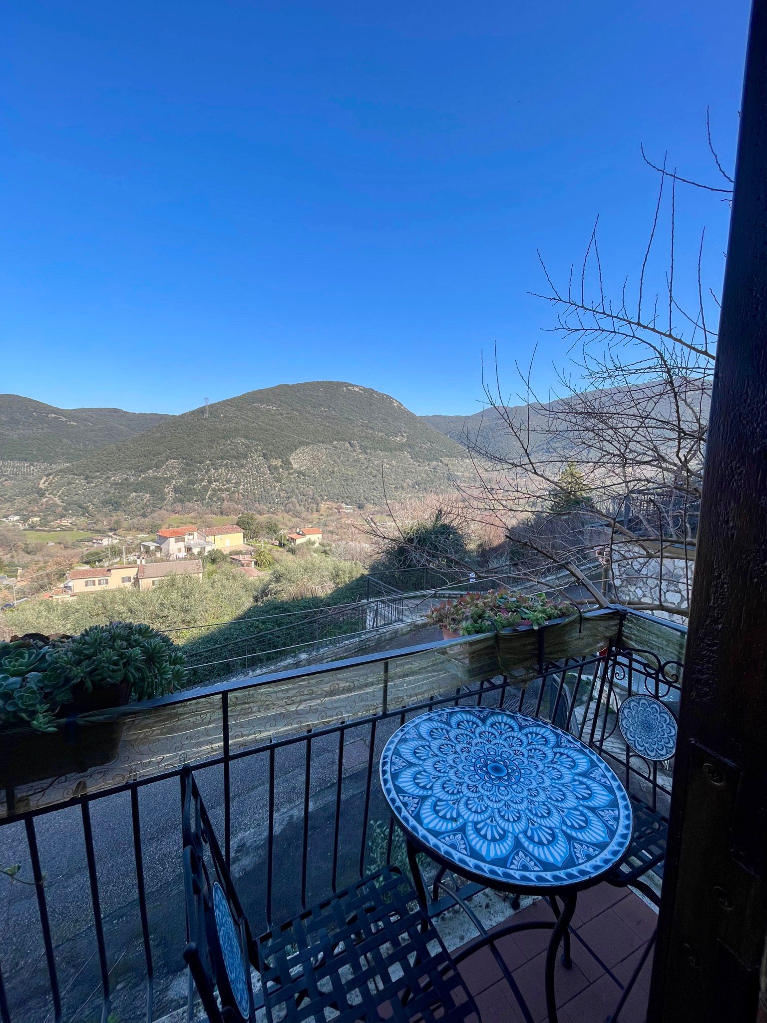 Il Carpino — Carpineto Romano
